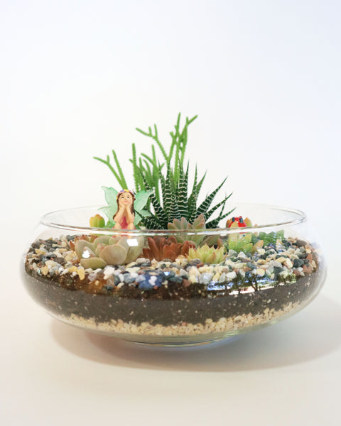 Mini Jardín Pecera Ada