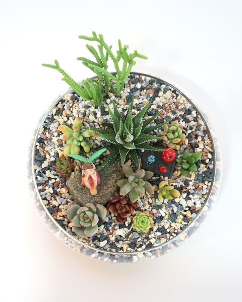 Mini Jardín Pecera Ada