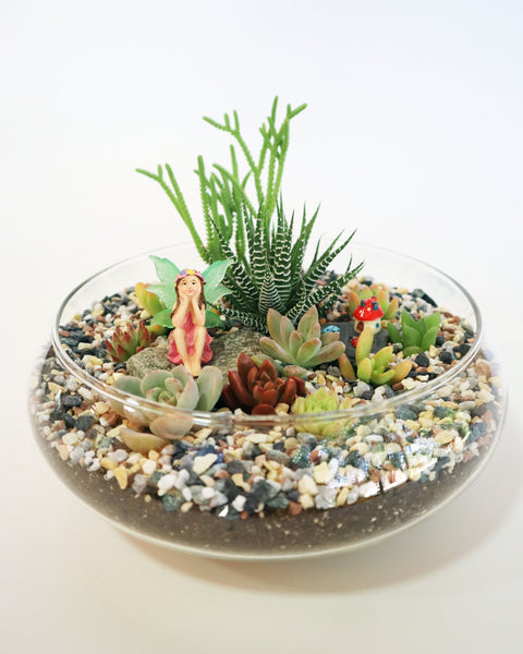 Mini Jardín Pecera Ada