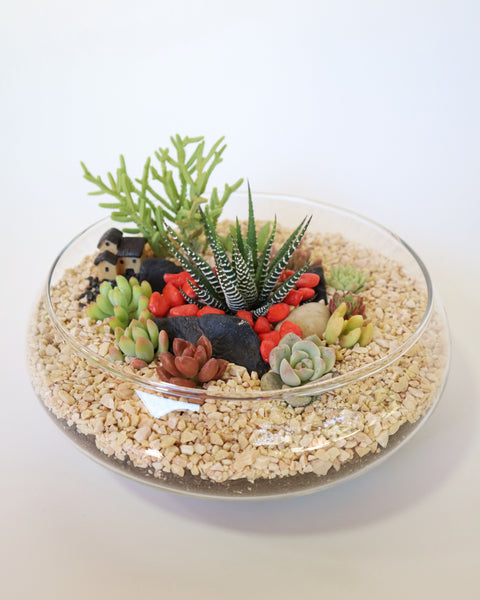 Mini Jardín Pecera Casita