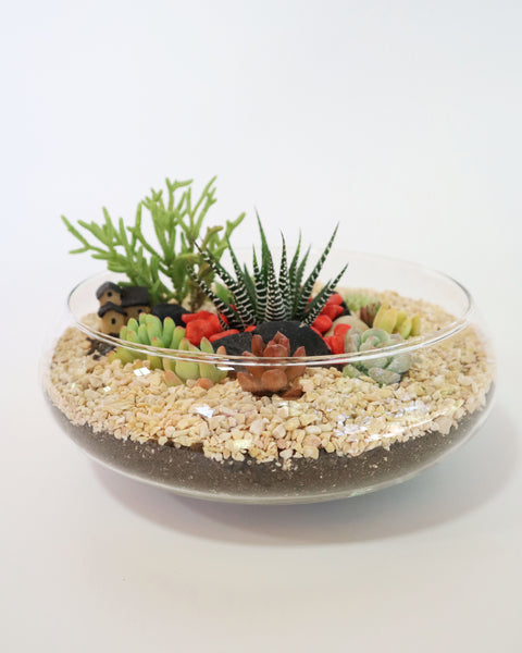 Mini Jardín Pecera Casita