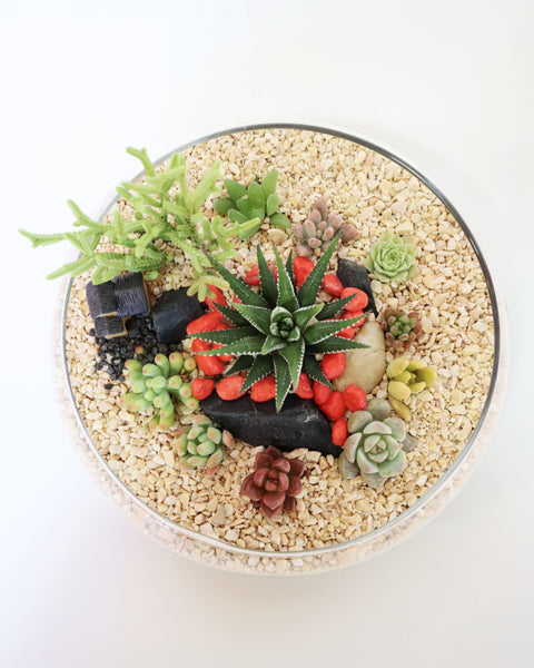 Mini Jardín Pecera Casita